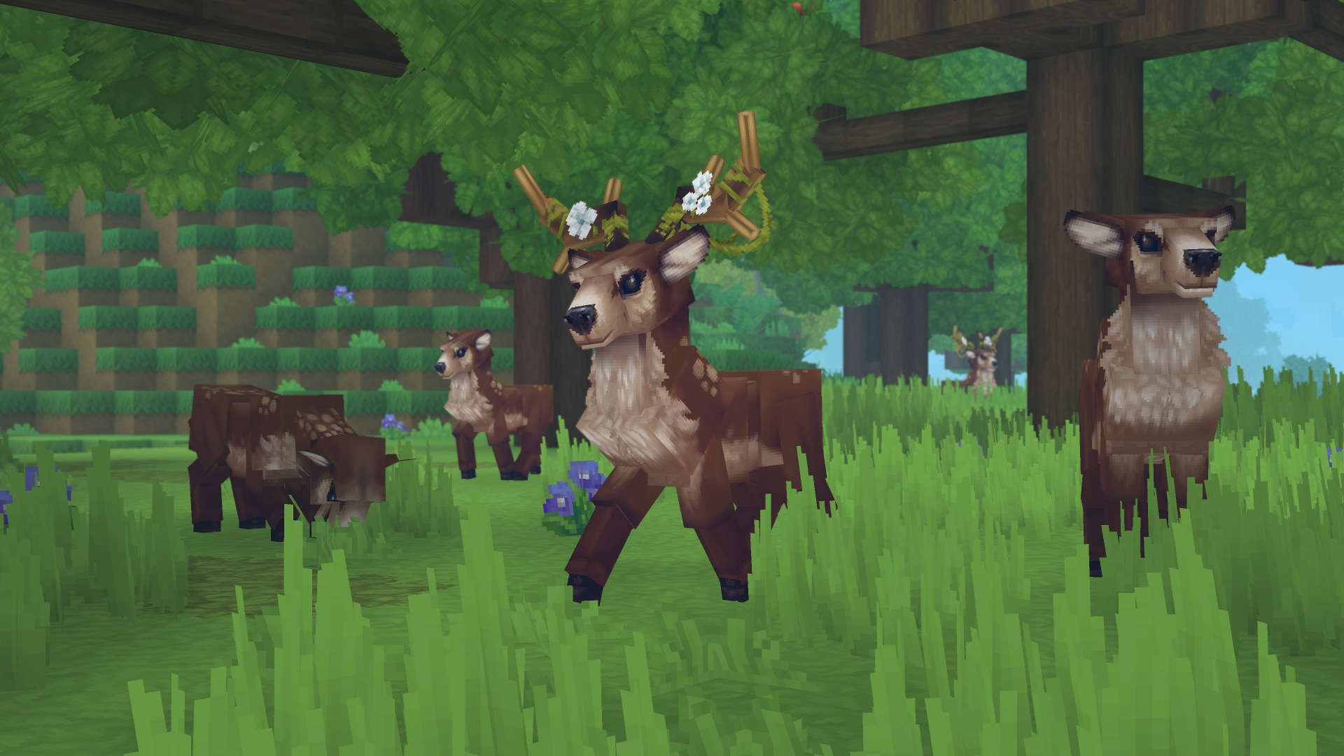 5c79a18736e672001743d585_deer.jpg
