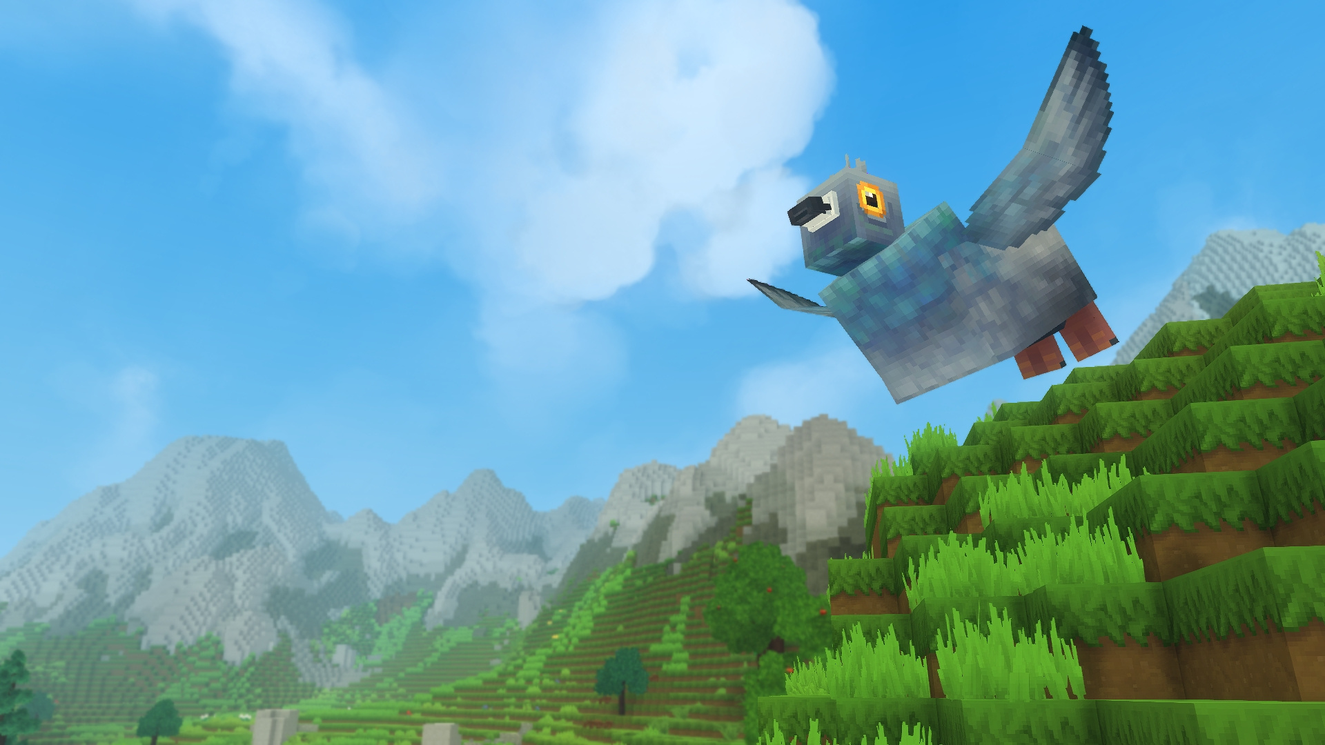 5c79a1dd36e672001743d58c_pigeon.jpg